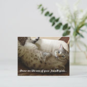 Kitty Titanic Zitat Postkarte (Stehend Vorderseite)