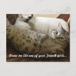 Kitty Titanic Zitat Postkarte