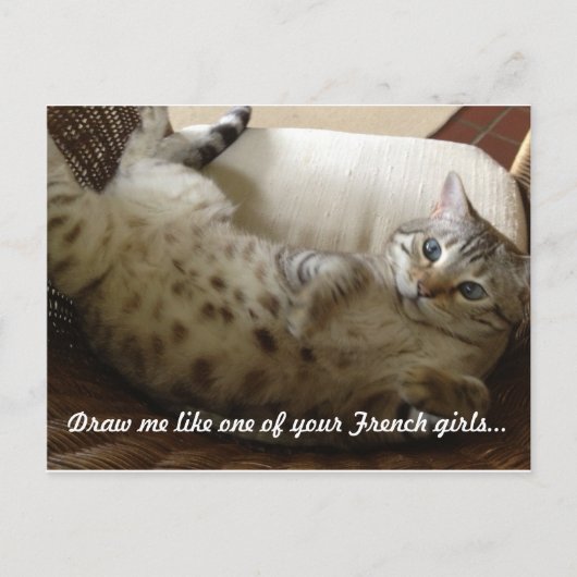 Kitty Titanic Zitat Postkarte (Vorderseite)