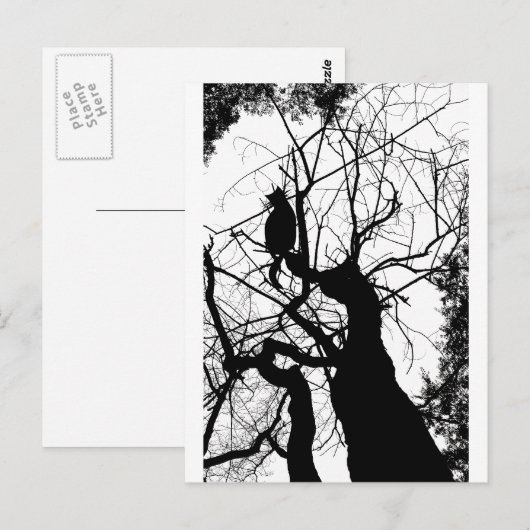 KITTY TREE SILHOUETTE B&W POSTKARTE (Vorne/Hinten)