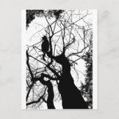KITTY TREE SILHOUETTE B&W POSTKARTE (Vorderseite)