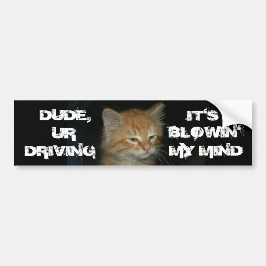 Kitty "TYP DRIVIN BLOWIN' MY MIND" Autoaufkleber (Vorne)