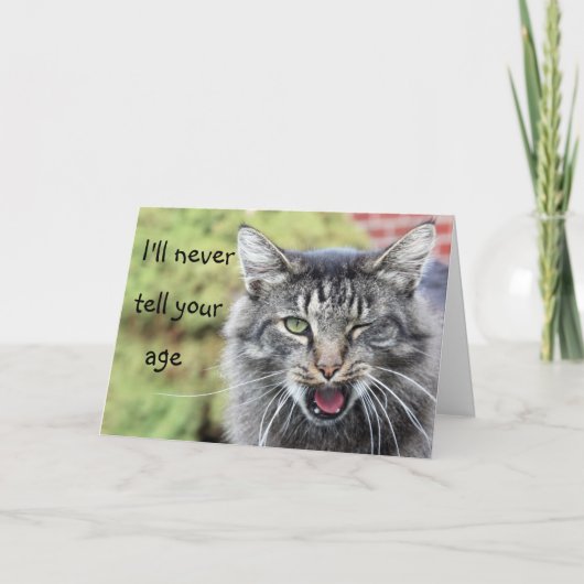 Kitty über dem Hügel Geburtstag Karte (Vorderseite)