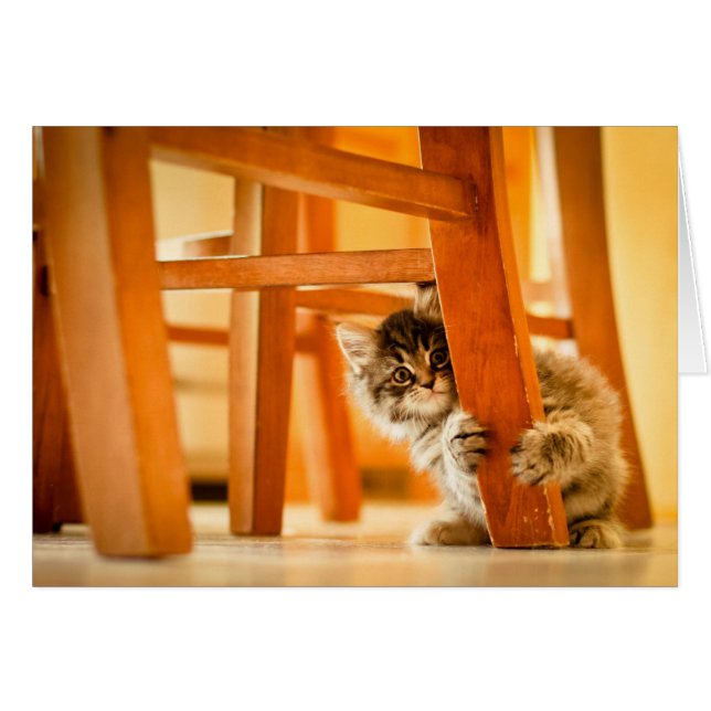 Kitty Under Fleisch (Vorderseite (Horizontal))