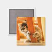 Kitty Under Fleisch Magnet (Vorderseite/Rückseite)