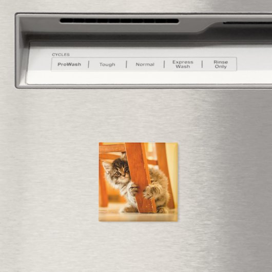 Kitty Under Fleisch Magnet (In Situ (Geschirrspüler))