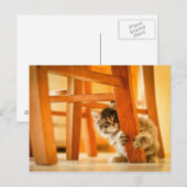 Kitty Under Fleisch Postkarte (Vorne/Hinten)