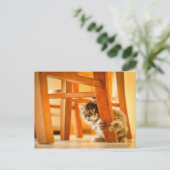 Kitty Under Fleisch Postkarte (Stehend Vorderseite)