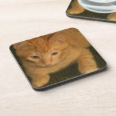 Kitty Untersetzer - Set von 6 (Linke Seite)