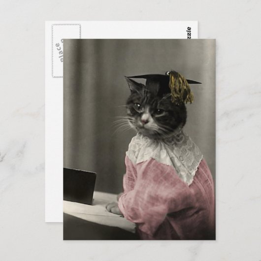 Kitty Valedictorian Postkarte (Vorne/Hinten)