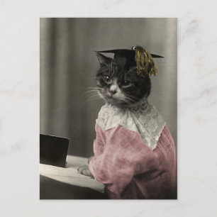 Kitty Valedictorian Postkarte