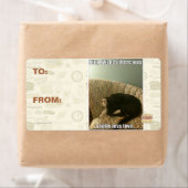 Kitty Wains (Insitu)