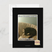 Kitty Wains Postkarte (Vorne/Hinten)