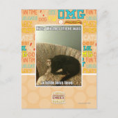 Kitty Wains Postkarte (Vorderseite)