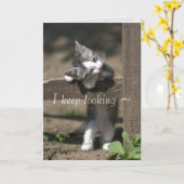 KITTY WATCH VERMISST IHNE KARTE (Gelbe Blume)