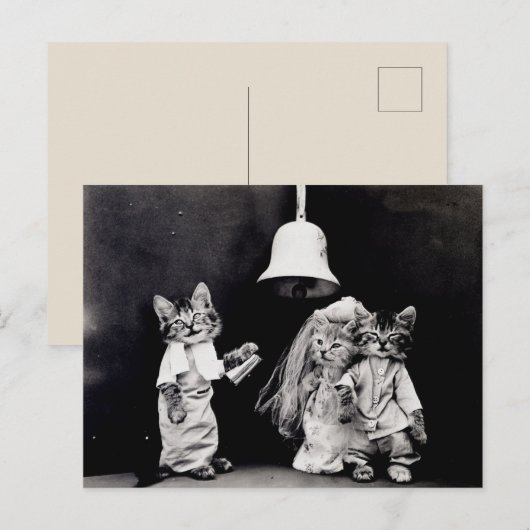 Kitty Wedding Postkarte (Vorne/Hinten)