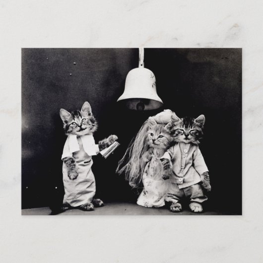Kitty Wedding Postkarte (Vorderseite)
