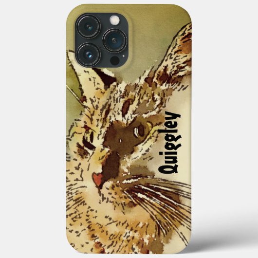 Kitty Whiskers Herznose Wasserfarbe Case-Mate iPhone Hülle (Rückseite)