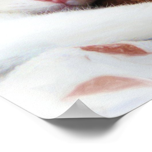 Kitty with Teddy Bar Print Poster (Ecke)