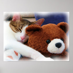 Kitty with Teddy Bar Print Poster