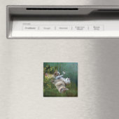 Kitty wünscht Art Magnet (In Situ (Geschirrspüler))