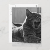 Kitty Yawning Postkarte (Vorne/Hinten)