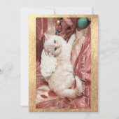 Kitty zu Weihnachten Ankündigung (Vorderseite)