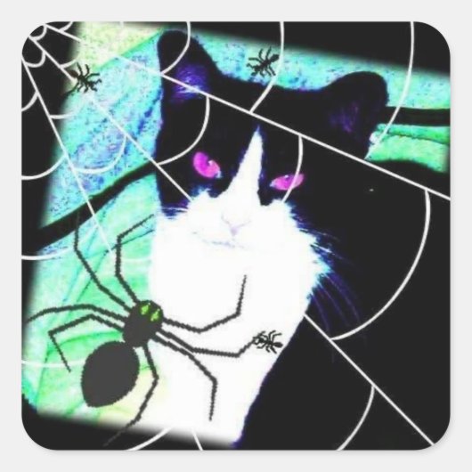 KittyCatSpiderWeb Quadratischer Aufkleber (Vorderseite)