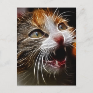 Kitty's Hunger Postkarte