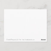 Kitty's Shop Suey Postkarte (Rückseite)