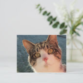 Kitup Nah Postkarte (Stehend Vorderseite)