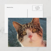 Kitup Nah Postkarte (Vorne/Hinten)