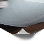 Kitypaper Poster (Ecke)