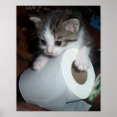 Kitypaper Poster (Vorne)