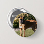 Kitz-Boxer-Hund stehend Button (Vorne & Hinten)