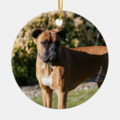 Kitz-Boxer-Hund stehend Keramikornament (Vorne)