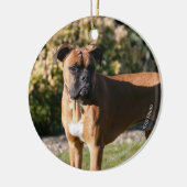 Kitz-Boxer-Hund stehend Keramikornament (Links)
