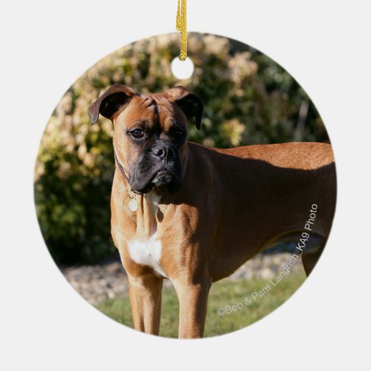 Kitz-Boxer-Hund stehend Keramikornament (Hinten)