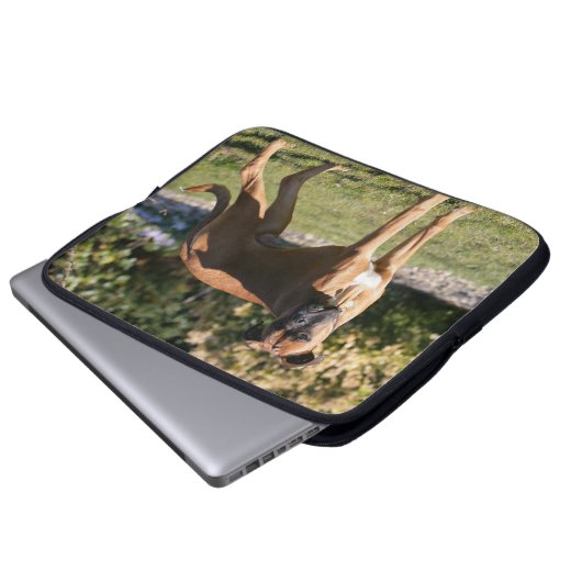 Kitz-Boxer-Hund stehend Laptopschutzhülle (Vorne Knopf)