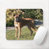 Kitz-Boxer-Hund stehend Mousepad (Mit Mouse)