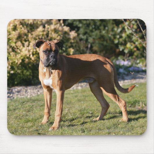 Kitz-Boxer-Hund stehend Mousepad (Vorne)