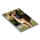 Kitz-Boxer-Hund stehend Notizblock (Rechte Seite)