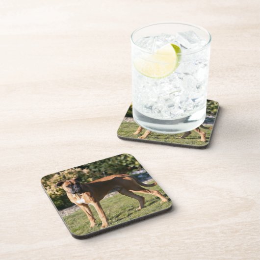 Kitz-Boxer-Hund stehend Untersetzer (Rechte Seite)