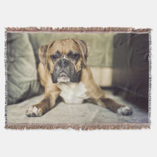 Kitz-Boxer-Welpe Decke (Vorderseite)