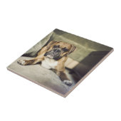 Kitz-Boxer-Welpe Fliese (Seite)