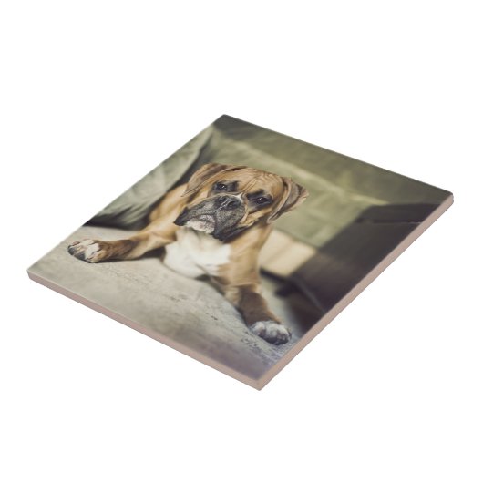 Kitz-Boxer-Welpe Fliese (Seite)