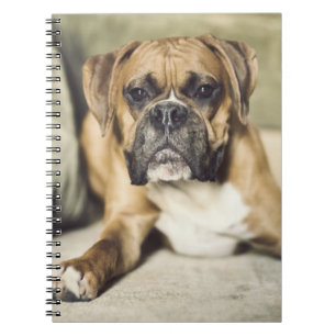 Kitz-Boxer-Welpe Notizblock