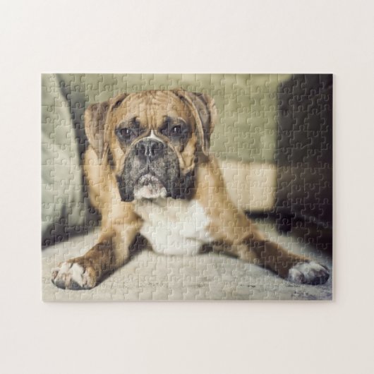 Kitz-Boxer-Welpe Puzzle (Horizontal)