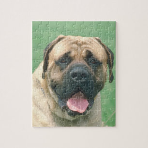 Kitz Bullmastiff Hundepuzzlespiel Puzzle