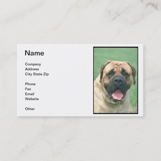Kitz Bullmastiff Visitenkarte (Vorderseite)